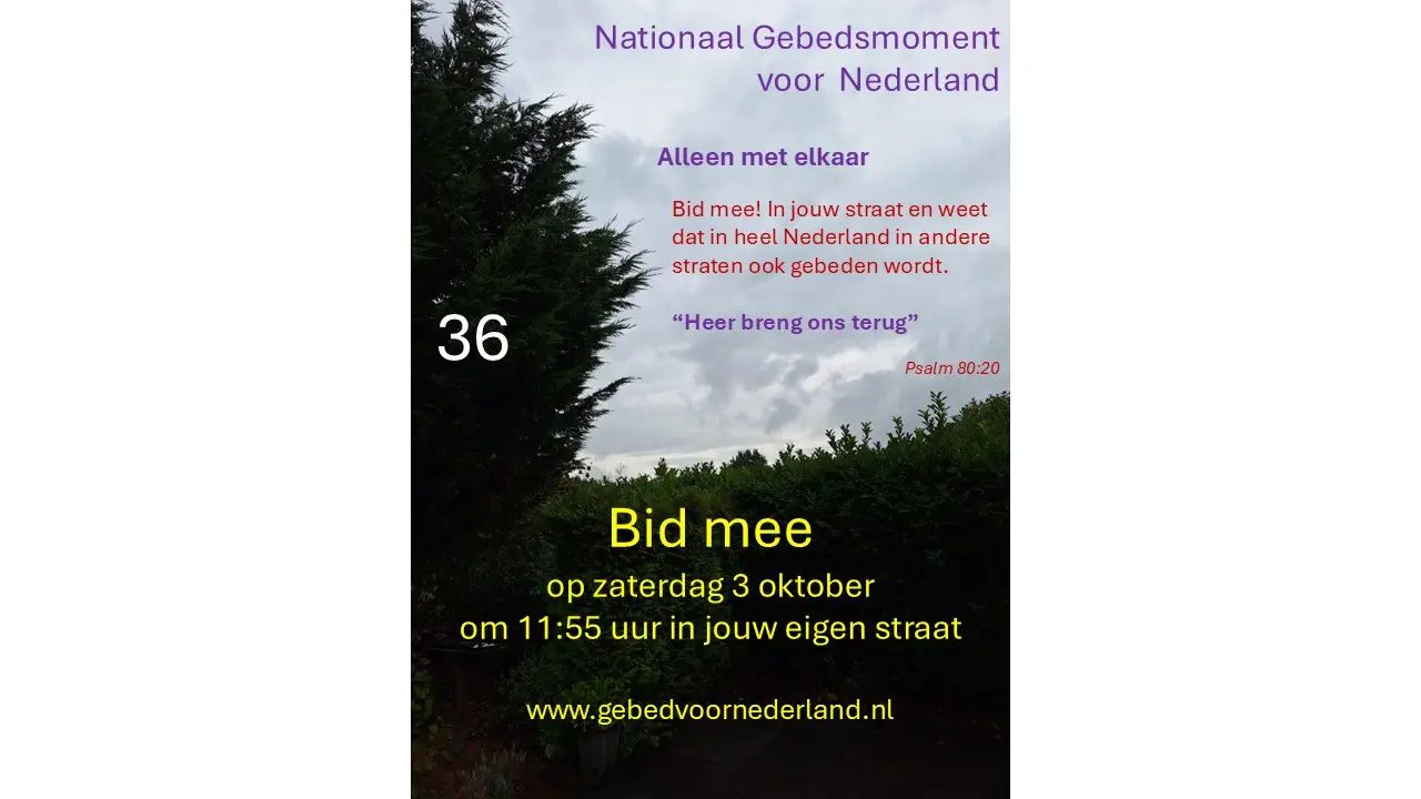 Lees meer over het artikel Zaterdag 29 augustus 2026