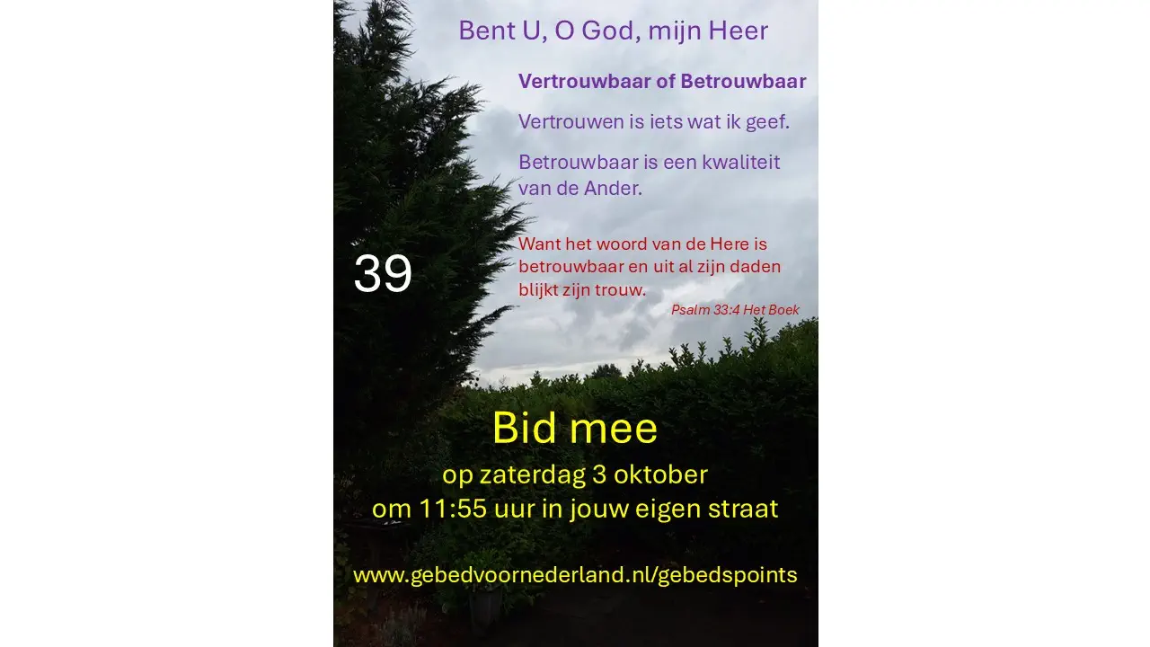 Lees meer over het artikel Woensdag 26 augustus 2026
