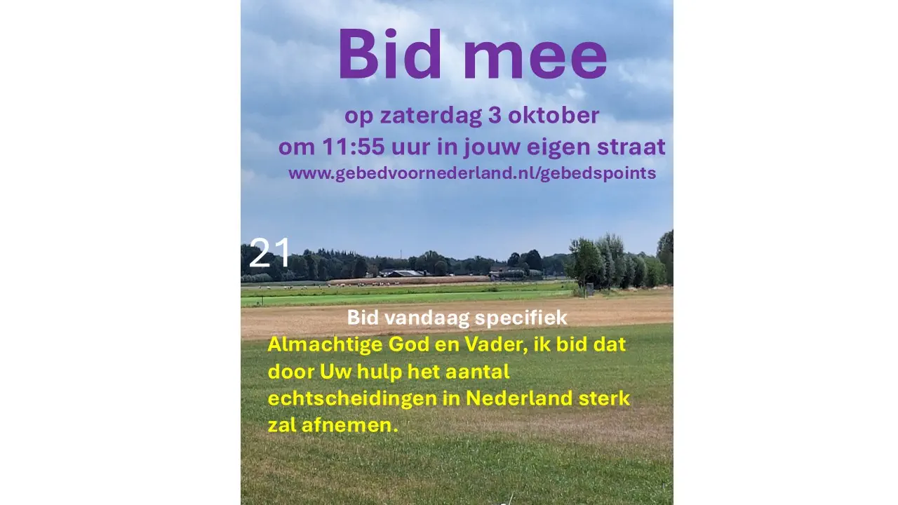 Lees meer over het artikel Zondag 13 september 2026